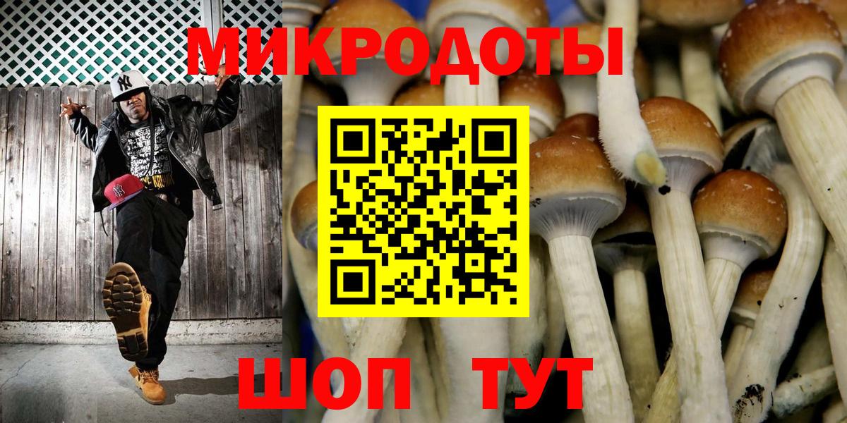 Химки  Псилоцибиновые грибы Psilocybe  Вход с VPN 